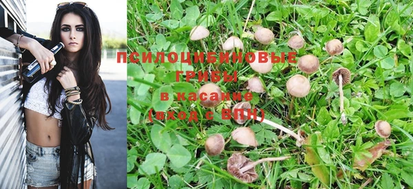 экстази Дмитриев