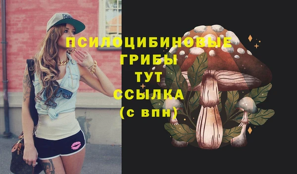 бошки Шали