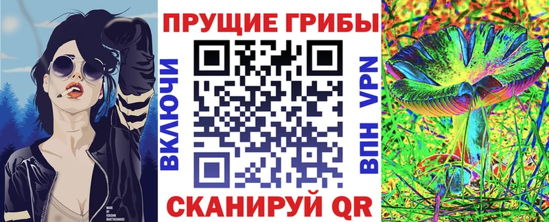Галлюциногенные грибы мухоморы  продажа наркотиков  hydra рабочий сайт  Дмитровск 